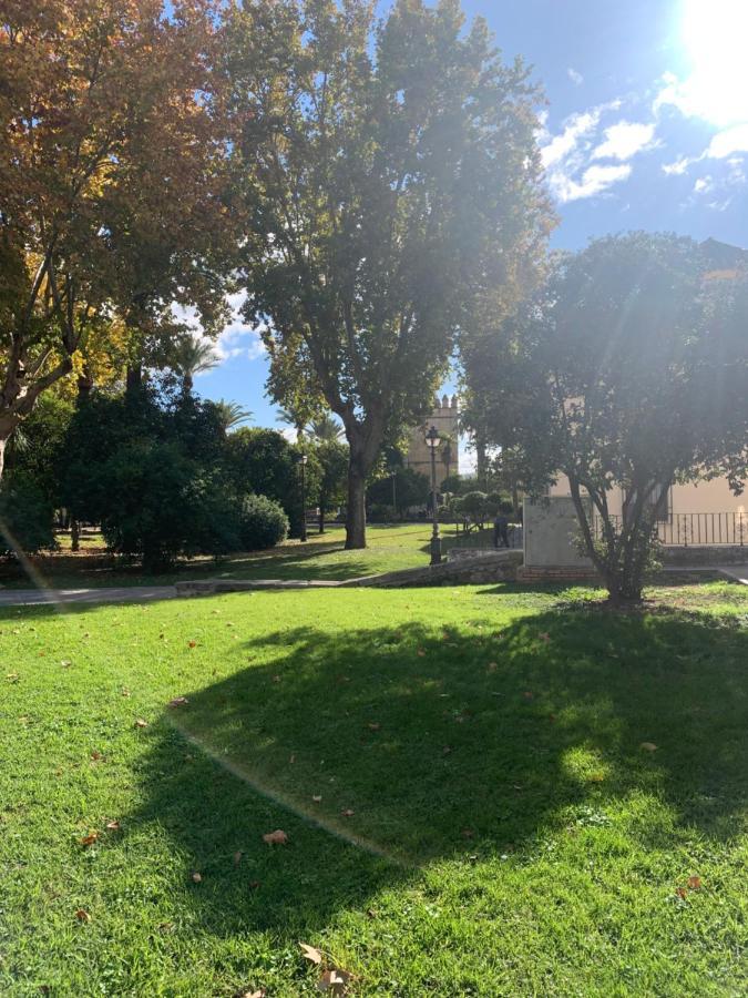 Apartamento A Estrenar A Un Minuto Del Alcazar Daire Cordoba Dış mekan fotoğraf